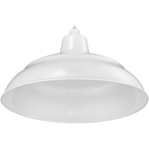 R Series 1 Light 17.00 inch Shade